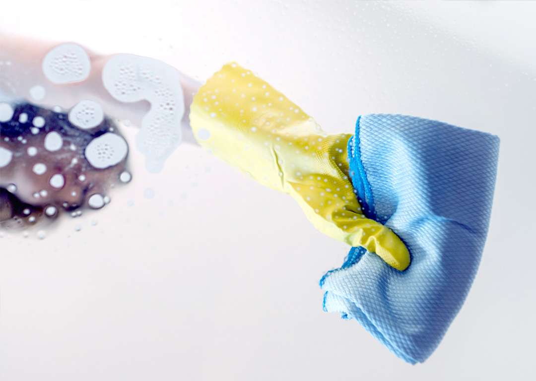 divi-cleaning-theme-2
