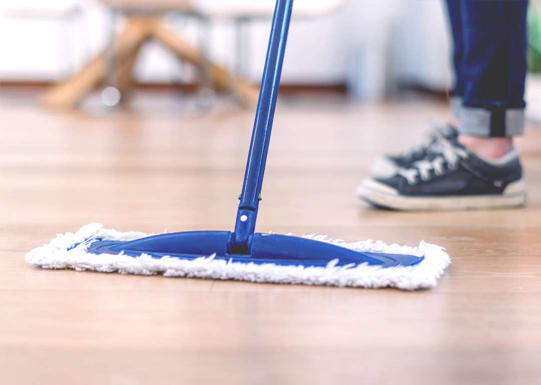 divi-cleaning-theme-4